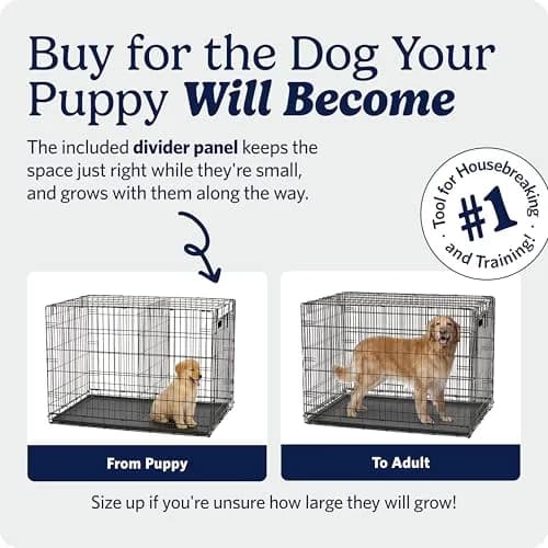 MidWest 30-Inch Double Door iCrate for Medium Breeds 21-40 lbs | Secure, Foldable & Durable thumbnail 3