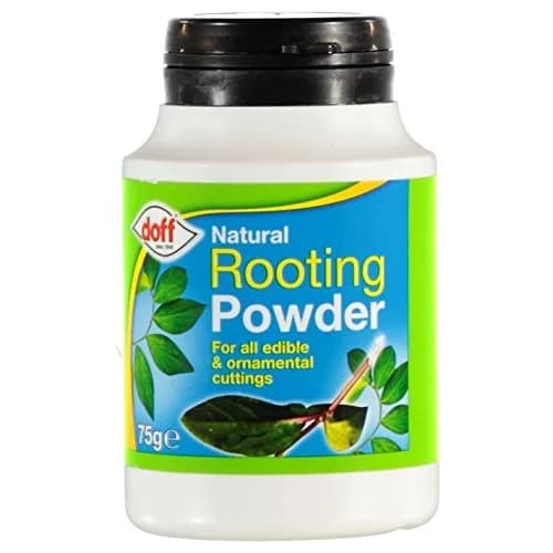 Doff Hormone Rooting Powder Plant & Cuttings 75g | Promotes Strong Roots All Year thumbnail 1
