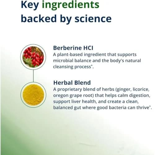 Metagenics CandiBactin-BR Berberine HCl 400 mg Gut Support, 90 Tablets | Gut Health & Detox Support thumbnail 3
