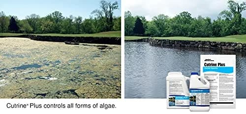 APPLIED BIOCHEMISTS Cutrine-Plus Granular Algaecide 12 lbs | Effective algae control for pools & ponds thumbnail 2