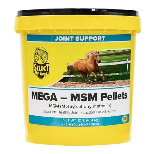 Select The Best Mega-MSM Pellets 10 lb | Supports Healthy Joints & Palatability thumbnail 1