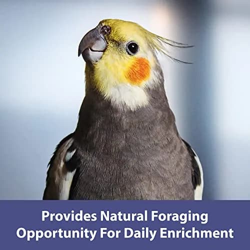 Kaytee Natural Spray Millet Treat for Pet Birds, 200g (7 oz) | All-Natural Foraging Enrichment thumbnail 4