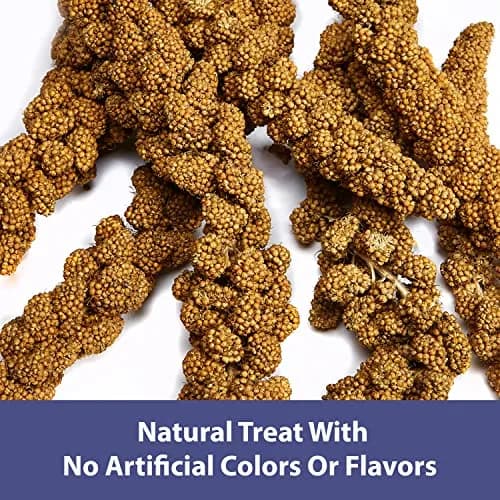 Kaytee Natural Spray Millet Treat for Pet Birds, 200g (7 oz) | All-Natural Foraging Enrichment thumbnail 3
