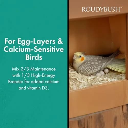 RoudyBush Daily Maintenance Bird Food Mini Pellets 624g (22oz) | Scientifically Formulated Bird Feed thumbnail 4