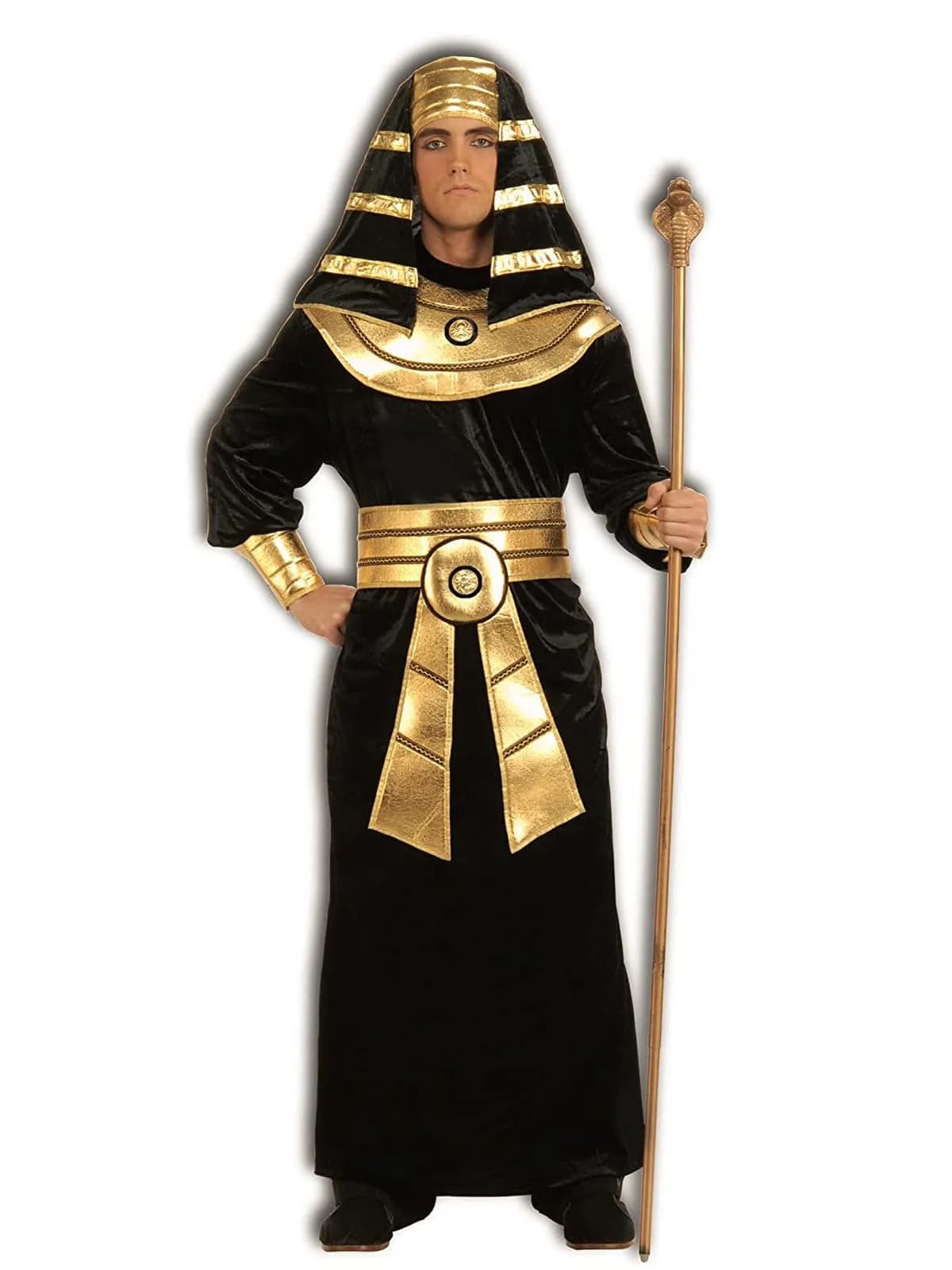 Rubies Egyptian Pharaoh Costume for Adults, Men's Large | Classic Egyptian Cosplay - main product image
