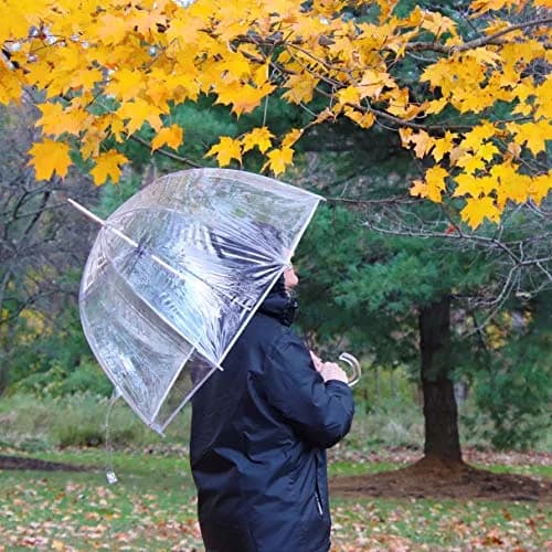 totes Signature Clear Bubble Umbrella 51" Arc | Auto Open Windproof Stick Umbrella thumbnail 7
