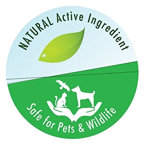 API Pond-Zyme Sludge Destroyer 8 oz Pond Cleaner with Natural Bacteria for Up to 8,000 Gallons thumbnail 5