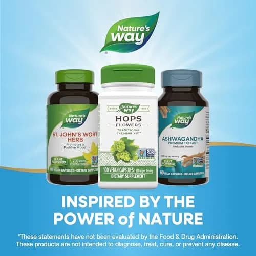 Nature's Way Premium Herbal Hops Flowers 620 mg | Traditional calming aid for nervous system support in India thumbnail 6