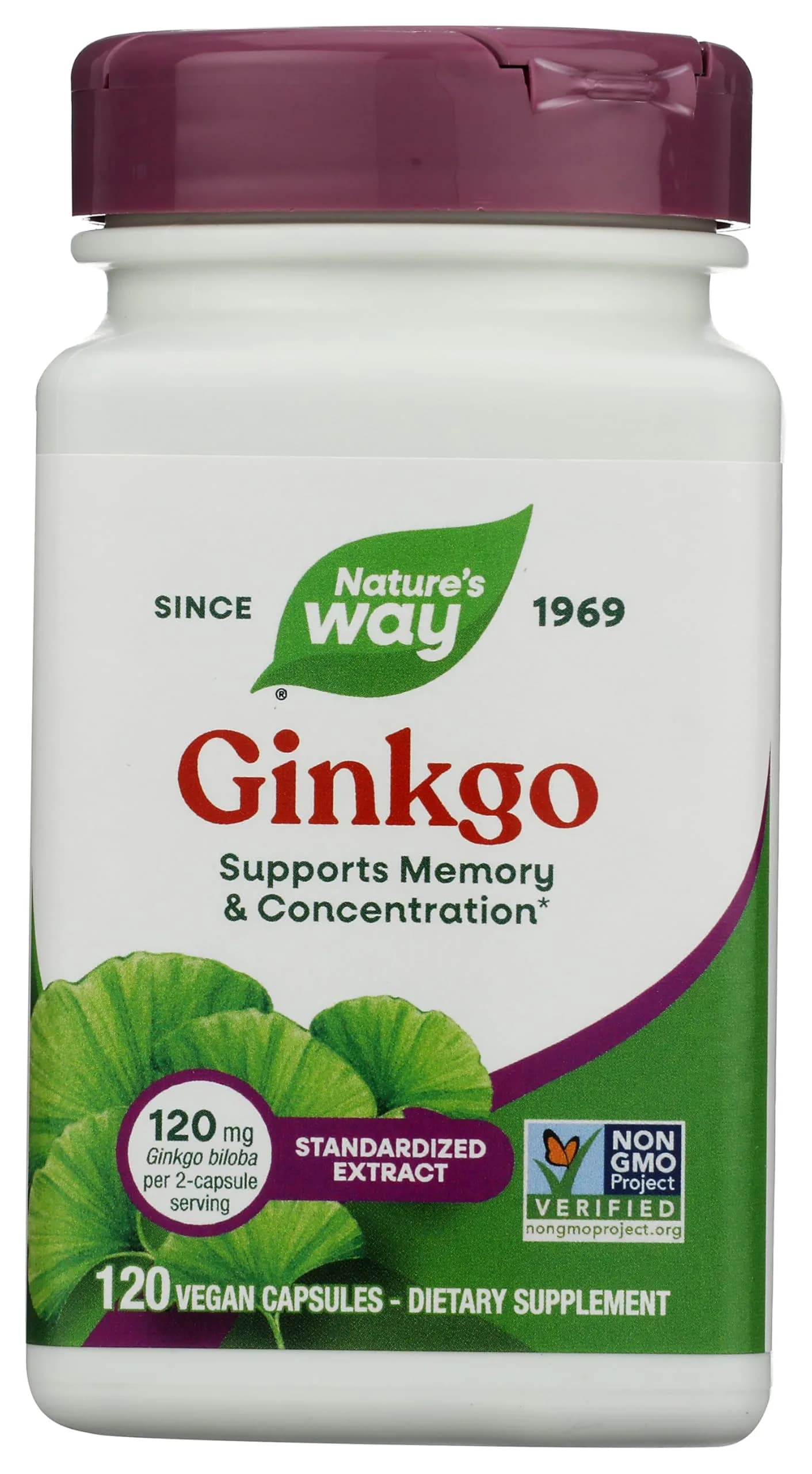 Nature's Way Ginkgo Premium Extract 120 mg | Supports Memory & Concentration* - main product image