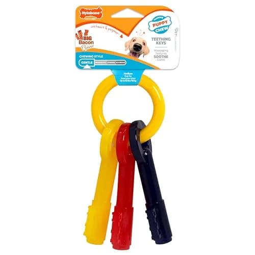 Nylabone Puppy Chew Teething Keys Dog Chew Toy, Bacon Flavor, Medium | Soothes Gums & Cleans Teeth thumbnail 1