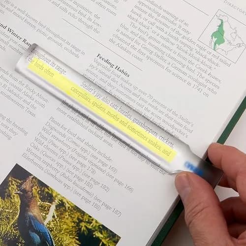 Carson MagniRead 1.5x Magnifier | Crystal Clear Acrylic Lens for Reading & Fine Print thumbnail 2