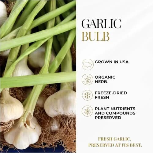 ECLECTIC INSTITUTE Garlic Capsules 50 CT | Heart & Immune Support, US Grown, Vegan, Gluten-Free thumbnail 5