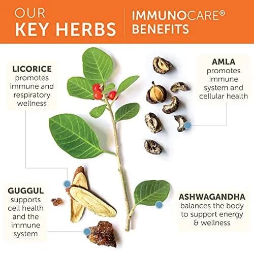 Himalaya ImmunoCare Herbal Immune Supplement, 840 mg | Supports Immunity & Seasonal Defense thumbnail 4