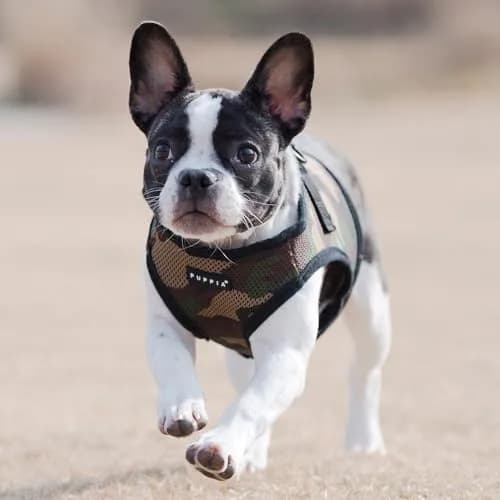 Puppia Soft Vest Harness CAMO Small | Adjustable Mesh Dog Harness for Comfort thumbnail 4