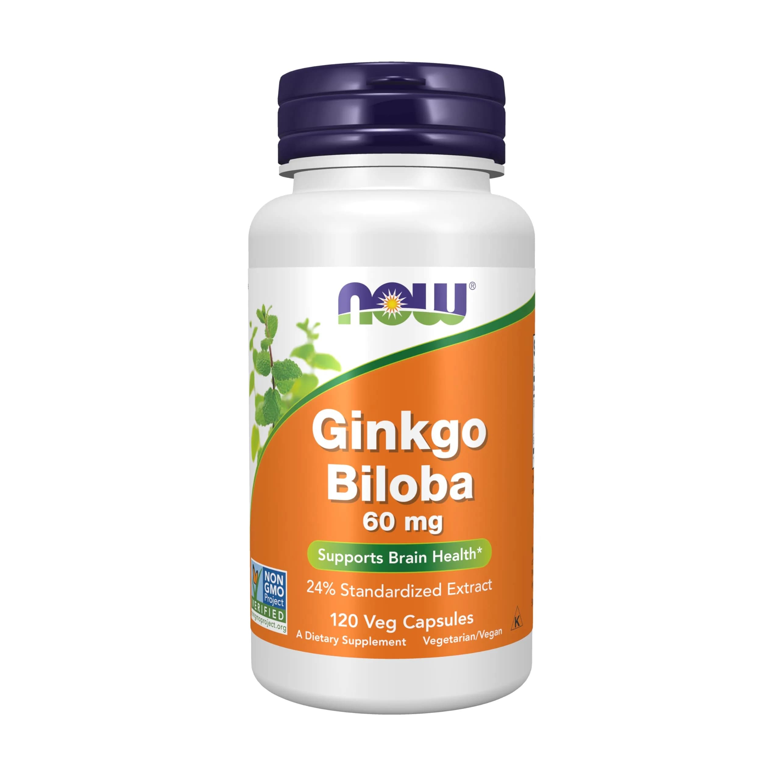 NOW Ginkgo Biloba 60 mg | Supports Brain Health & Free Radical Scavenging - main product image