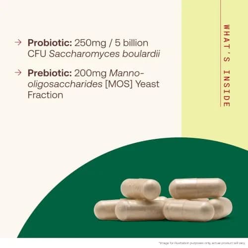 Jarrow Formulas Saccharomyces Boulardii + MOS Probiotic 5 Billion CFU 90 Delayed Release Caps | Digestive Health Support thumbnail 3