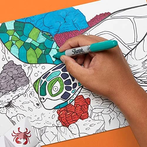 Sharpie Permanent Markers Fine Point Assorted Colours 4 Count | Smooth Ink Flow thumbnail 6