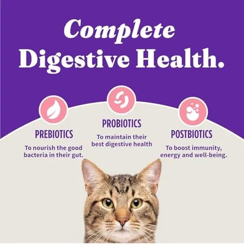 Halo Holistic Dry Cat Food, Wild-Caught Salmon & Whitefish Recipe, 1 Count (Pack of 1) | Complete Adult Cat Nutrition thumbnail 8