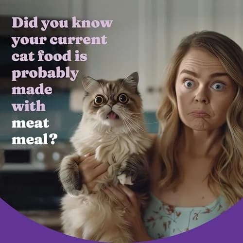 Halo Holistic Dry Cat Food, Wild-Caught Salmon & Whitefish Recipe, 1 Count (Pack of 1) | Complete Adult Cat Nutrition thumbnail 3