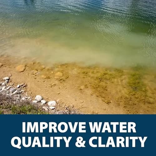 Airmax EcoBoost PRx Natural Pond Water Clarifier Binds Phosphates 10 lb | Safe, Natural Water Treatment for Ponds thumbnail 9
