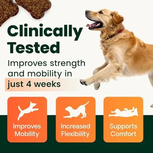 VetriScience Glycoflex 3 Vet Strength Glucosamine for Dogs Hip and Joint Supplement, 60 Chews | Clinically Proven Mobility Support thumbnail 4