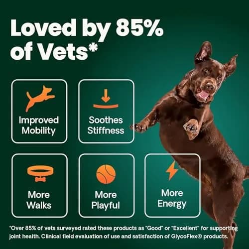 VetriScience Glycoflex 3 Vet Strength Glucosamine for Dogs Hip and Joint Supplement, 60 Chews | Clinically Proven Mobility Support thumbnail 7