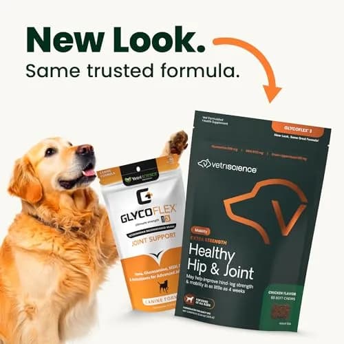VetriScience Glycoflex 3 Vet Strength Glucosamine for Dogs Hip and Joint Supplement, 60 Chews | Clinically Proven Mobility Support thumbnail 2