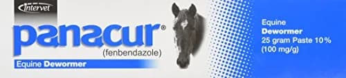 Intervet Panacur Dewormer Horse Paste 10% | Flavored with Apple Cinnamon, 100mg | Supports Horse Parasite Control thumbnail 2