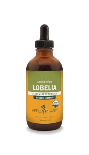 Herb Pharm Organic Lobelia Liquid Extract Drops 4 Oz | Supports Musculoskeletal System thumbnail 1