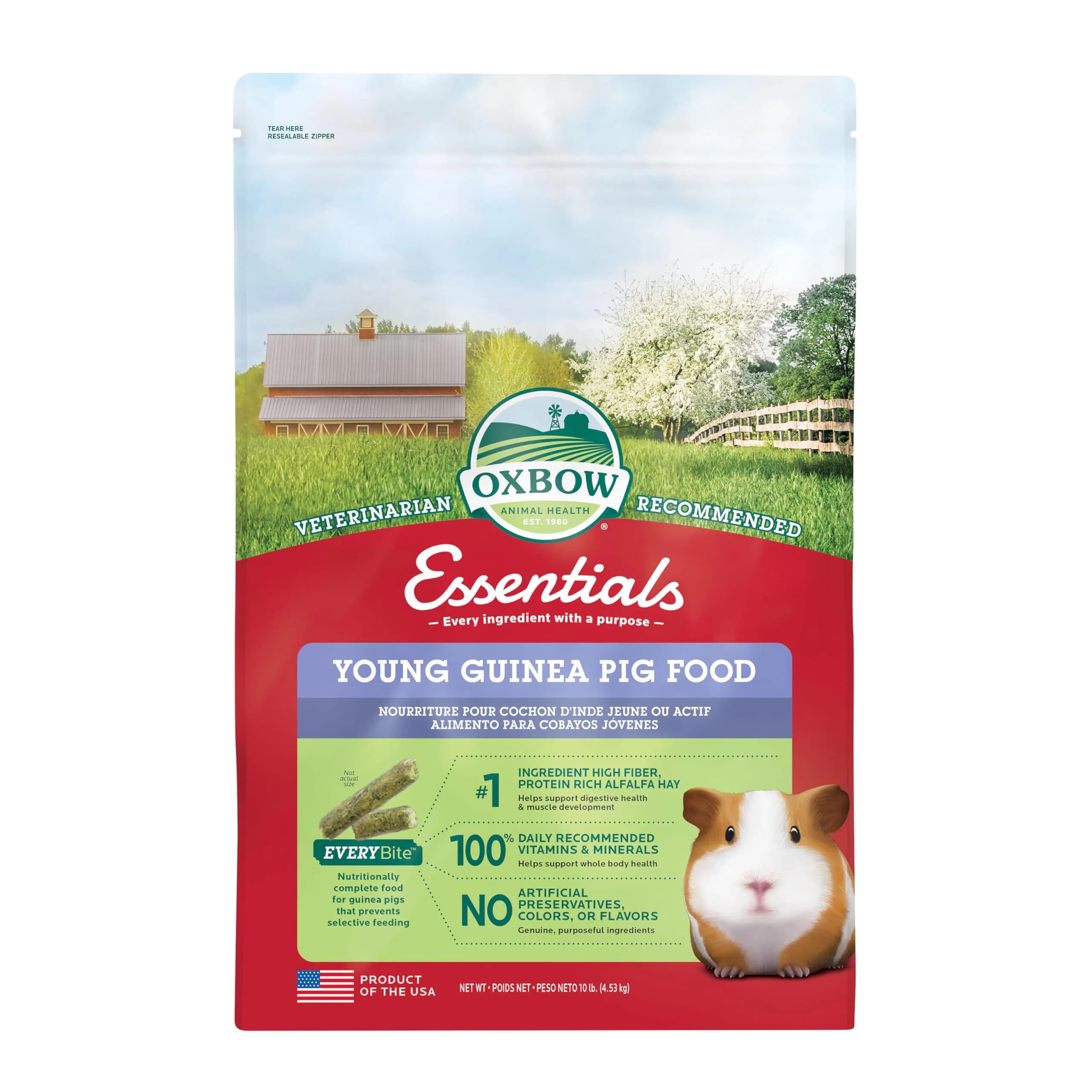 Oxbow Essentials Adult Guinea Pig Food, Timothy Hay Pellets, 4.54kg (10 lb) | Supports Digestion & Immunity — 10 Pound / Young