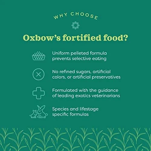 Oxbow Essentials Young Guinea Pig Food Pellets 4.54 kg (10 lb) | High Fiber Alfalfa Hay Formula for Growth & Digestion thumbnail 4