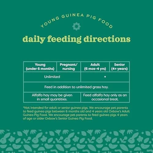 Oxbow Essentials Young Guinea Pig Food Pellets 4.54 kg (10 lb) | High Fiber Alfalfa Hay Formula for Growth & Digestion thumbnail 6