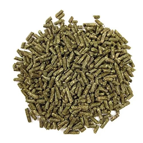 Oxbow Essentials Young Guinea Pig Food Pellets 4.54 kg (10 lb) | High Fiber Alfalfa Hay Formula for Growth & Digestion thumbnail 3
