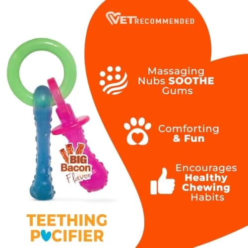 Nylabone Puppy Pacifier Chew Toy, Teething Toy for Puppies up to 25 lbs | Bacon Flavored, Soft Material, Textured Nubs thumbnail 4