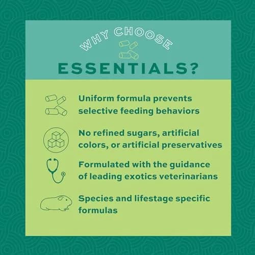 Oxbow Essentials Adult Guinea Pig Food, Timothy Hay Pellets, 4.54kg (10 lb) | Supports Digestion & Immunity thumbnail 4