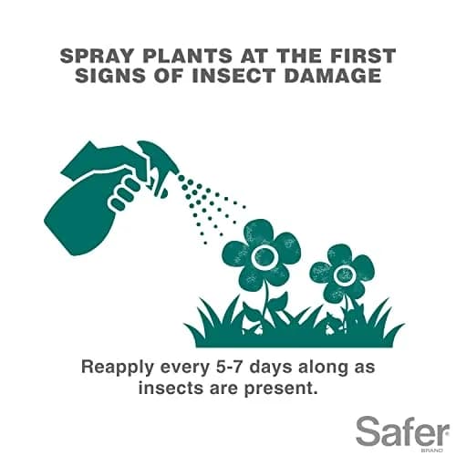 Safer Insect Killing Soap Concentrate 473ml (16 Fl Oz) | OMRI Listed Organic Insecticide for Plants thumbnail 4