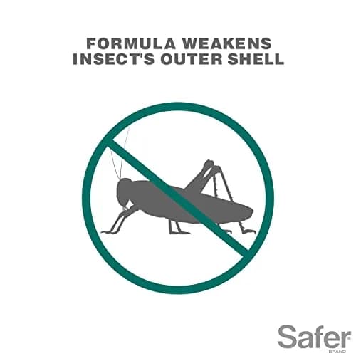 Safer Insect Killing Soap Concentrate 473ml (16 Fl Oz) | OMRI Listed Organic Insecticide for Plants thumbnail 3