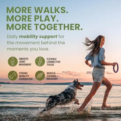Hylox Soft Chews for Dogs – Joint Support with Glucosamine, MSM, Creatine, Hyaluronic Acid, Turmeric, EPA & DHA – Supports Joints & Cushions Connective Tissues – NASC Certified – 120 Soft Chews thumbnail 6