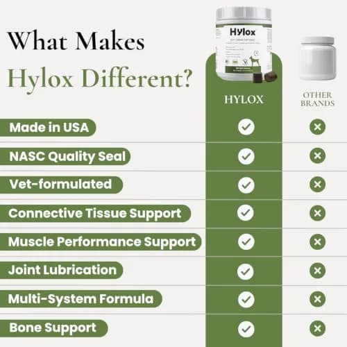 Hylox Soft Chews for Dogs – Joint Support with Glucosamine, MSM, Creatine, Hyaluronic Acid, Turmeric, EPA & DHA – Supports Joints & Cushions Connective Tissues – NASC Certified – 120 Soft Chews thumbnail 7