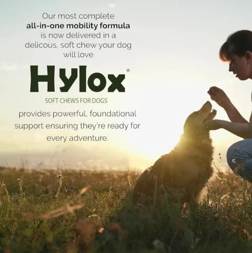Hylox Soft Chews for Dogs – Joint Support with Glucosamine, MSM, Creatine, Hyaluronic Acid, Turmeric, EPA & DHA – Supports Joints & Cushions Connective Tissues – NASC Certified – 120 Soft Chews thumbnail 8