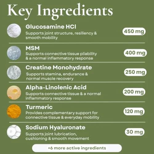 Hylox Soft Chews for Dogs – Joint Support with Glucosamine, MSM, Creatine, Hyaluronic Acid, Turmeric, EPA & DHA – Supports Joints & Cushions Connective Tissues – NASC Certified – 120 Soft Chews thumbnail 3