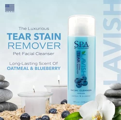 TropiClean SPA Blueberry Facial Shampoo Tear Stain Remover 237ml (8oz) | Gentle & Effective for Dogs thumbnail 2