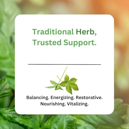 Paradise Herbs Jiaogulan Active Whole Spectrum 60 Caps | Adaptogenic Herb for Vitality & Longevity thumbnail 5
