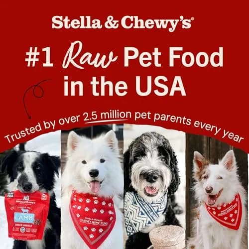 Stella & Chewy's Freeze-Dried Raw Turkey Meal Mixers for Dogs 18 oz (510 g) | Picky Eater Approved thumbnail 7