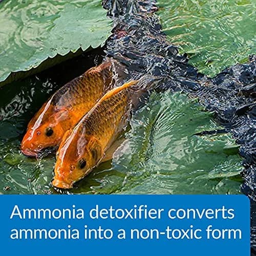 API Pond Ammo-Lock Ammonia Detoxifier for Ponds 473ml (16 Fl Oz) | Natural Active Ingredients thumbnail 4