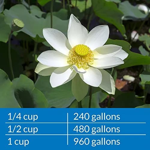 API Pond Ammo-Lock Ammonia Detoxifier for Ponds 473ml (16 Fl Oz) | Natural Active Ingredients thumbnail 5