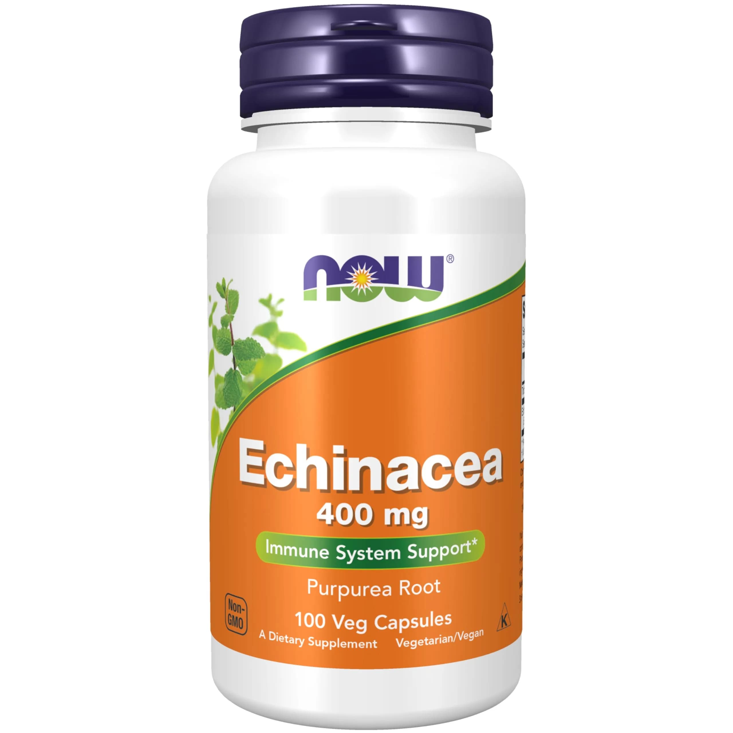 NOW Supplements Echinacea 400 mg | Immune Support, 100 Veg Caps, USA Import — Tan