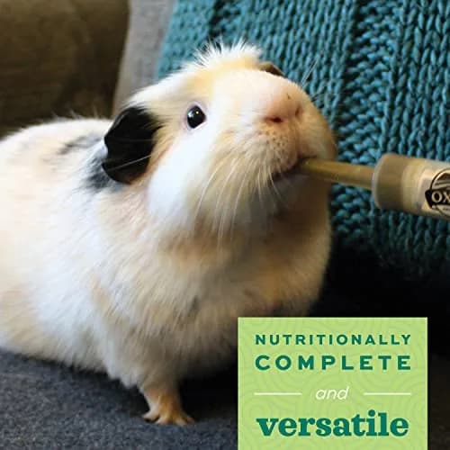 Oxbow Critical Care Herbivore Apple Banana 141 g (4.97 oz) | Veterinary Formula for Small Herbivores thumbnail 2