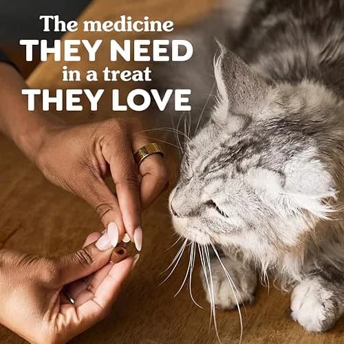 Greenies Feline Pill Pockets Soft Cat Treats, Chicken Flavor, 45 Count | Vet-Recommended Pill Hiding Treat thumbnail 7