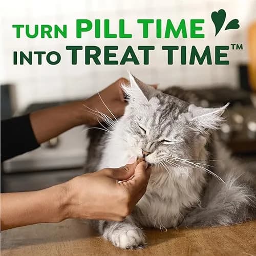 Greenies Feline Pill Pockets Soft Cat Treats, Chicken Flavor, 45 Count | Vet-Recommended Pill Hiding Treat thumbnail 8